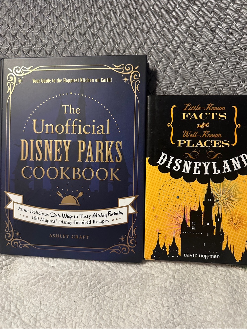 Disney Navy Blue & Gold Unofficial Disney Parks Cookbook